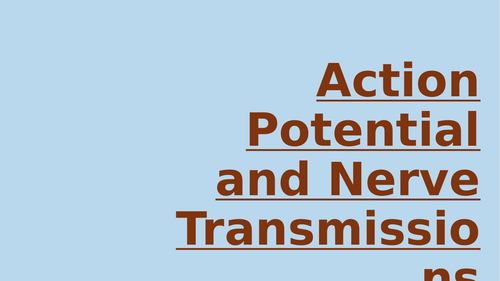 Nervous System - Nerve Transmission