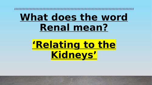 Urinary System - Lesson 1
