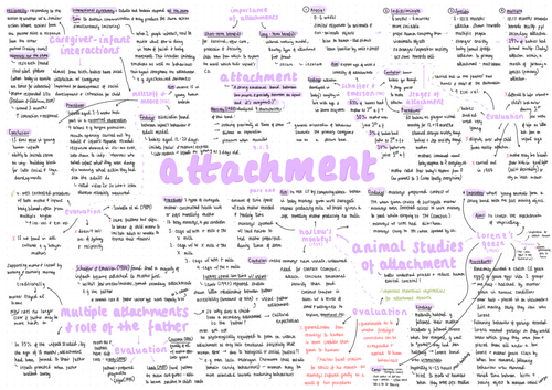 aqa a-level psychology - paper 1: attachment mindmap