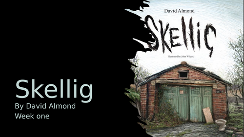 Skellig Short Novel Slides