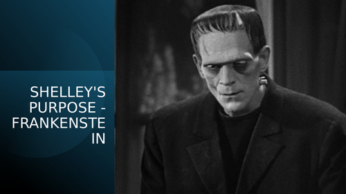 FRANKENSTEIN - MARY SHELLEY'S PURPOSE