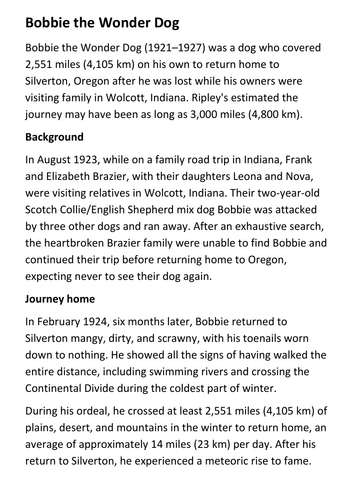 Bobbie the Wonder Dog Handout