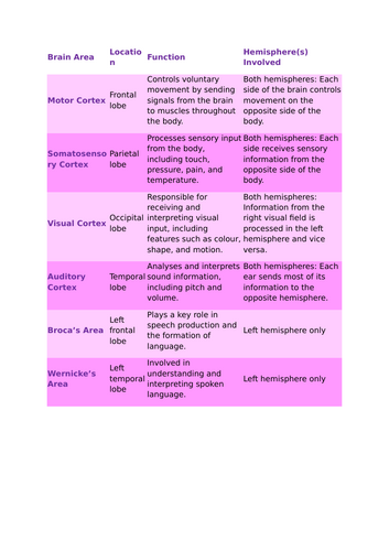 Localisation of Function & Hemispheric Laterlisation - BioPsycholology - A Level Psychology AQA