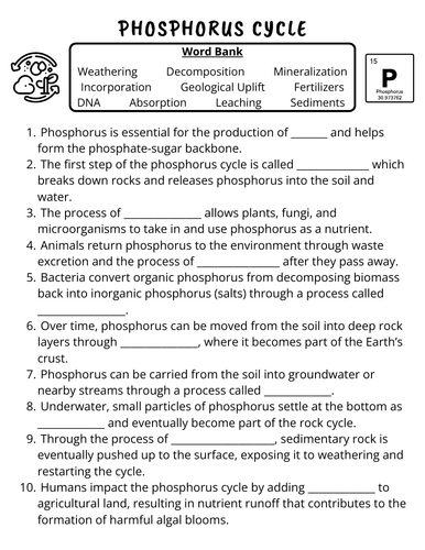 Phosphorus Cycle Worksheet