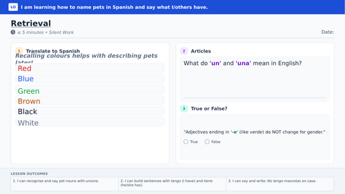 Year 7 Spanish: Pets Vocabulary PPT