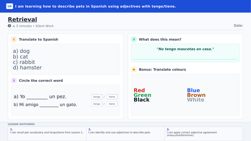 Y7 Spanish Pets Adjectives: Full Lesson PPT