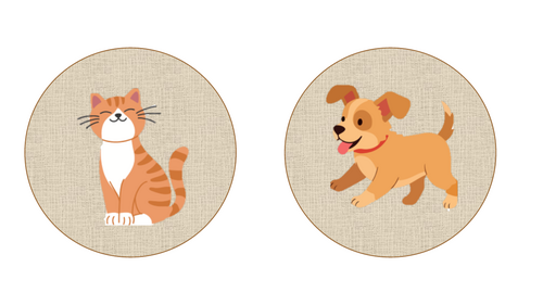 CVC pictures and words matching circles