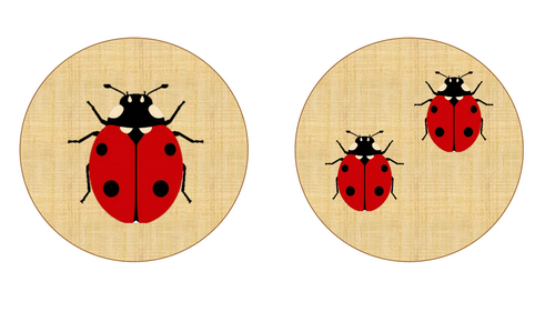 Minibeast doubles cards