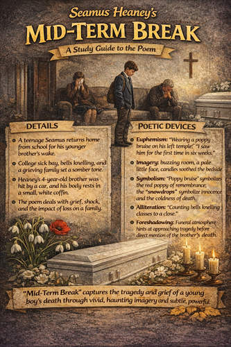 Junior Cycle English Poetry Infographics