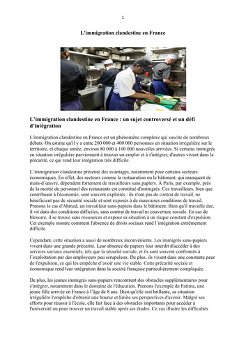 L’immigration clandestine en France : un sujet controversé et un défi d’intégration