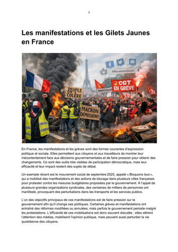 Les manifestations et les Gilets Jaunes en France
