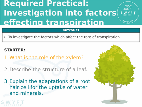 NEW WJEC (2026) GCSE Science - Required Practical: Transpiration