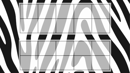 Zebra 5,10 and 20 frames