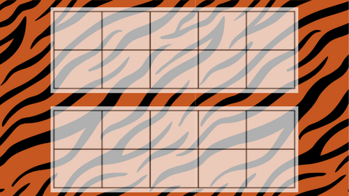 Tiger 5,10 and 20 frames