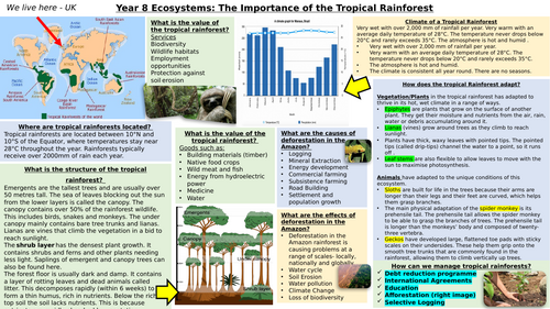 Knowledge Organiser KS3: Tropical Rainforest topic