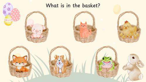 What is in the basket? CVC