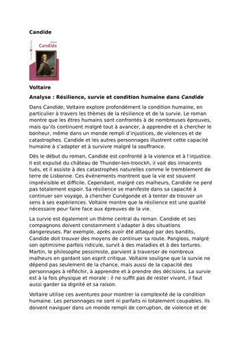 Candide – Voltaire – Resilience, Survival and the Human Condition