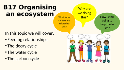 B17 Organising an ecosystem AQA TRIPLE Biology