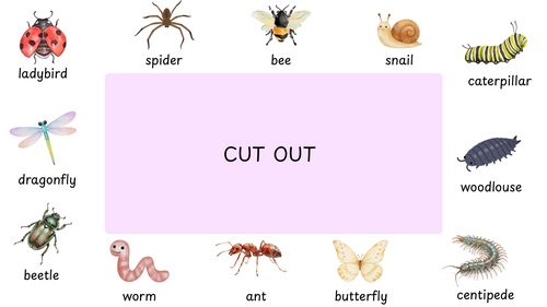 Minibeast identifier