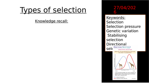 L4  Types of selection (AQA A-level Biology) 3.4.4