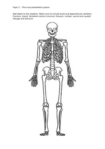 Edexcel - Medical Science Btec - Unit 1 - Topic C - Revision