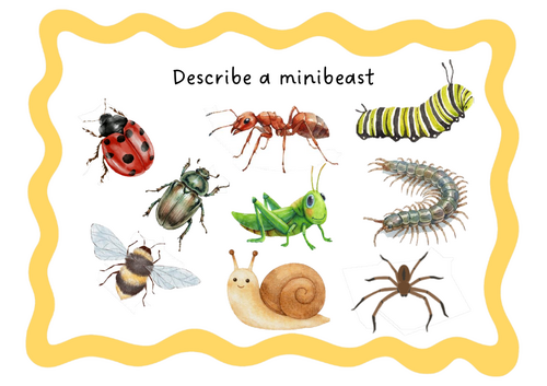 Describe a minibeast- pictures