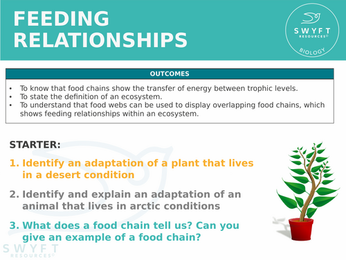 NEW WJEC (2026) GCSE Science - Feeding relationships