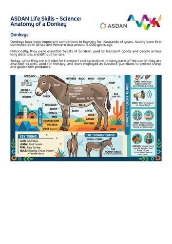 ASDAN Life Skills - Science - Anatomy of a Donkey
