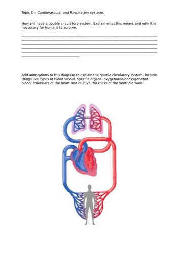 Edexcel - Medical Science Btec - Unit 1 - Topic D -  Revision