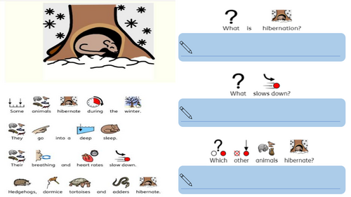 Don't Hog The Hedge 'hibernation'- themed comprehension symbol supported questions worksheet
