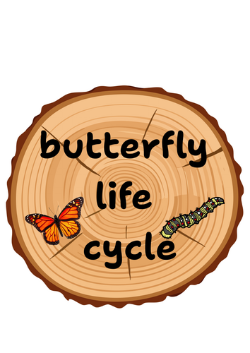 Butterfly Life Cycle pack