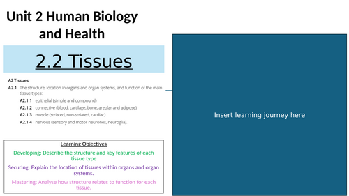 AAQ Health and Social Care Unit 2 Human Biology and Health  2.2 Tissues