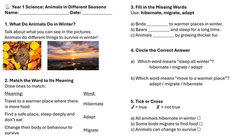 Year 1 Science: Animals in Different Seasons Lesson 5 Worksheets