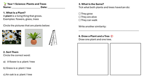 Year 1 Science: Plants and Trees Lesson 1 Worksheets