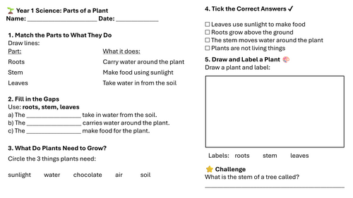 Year 1 Science: Parts of a Plant Lesson 2