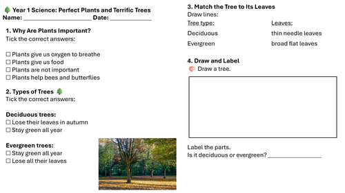 Year 1 Science: Perfect Plants and Terrific Trees Lesson 5
