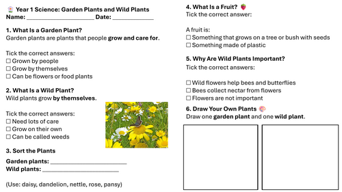 Year 1 Science: Garden Plants and Wild Plants Lesson 6