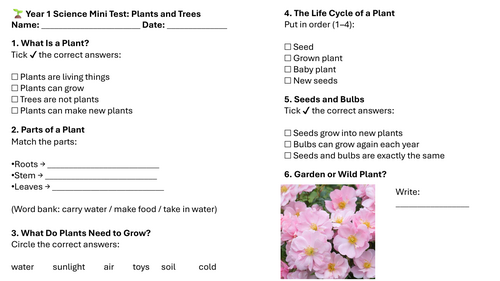 Year 1 Science Mini Test: Plants and Trees