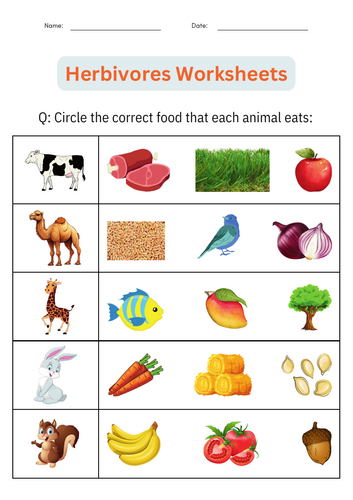 Printable Animal Classification – Herbivores Worksheets Activities for Grade 1