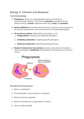 Revision retrieval questions on B3 and B4