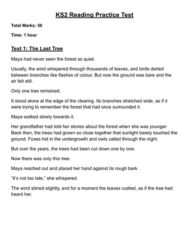 KS2 Sats Reading Test Paper Yr5/6