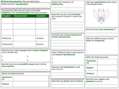 Plant reproduction revision poster