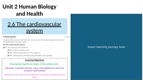 AAQ Unit 2 Health and Social Care Human Biology and Health 2.6 The cardiovascular system