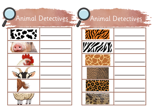 Animal Detectives