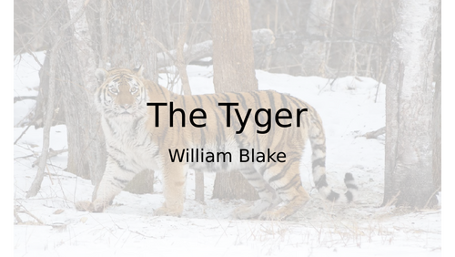 'The Tyger' - William Blake