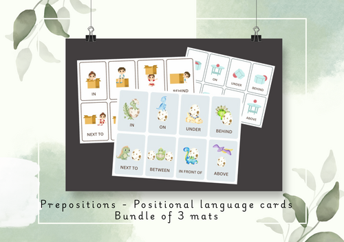 Prepositions  Cards - Positional language. 3 piece bundle