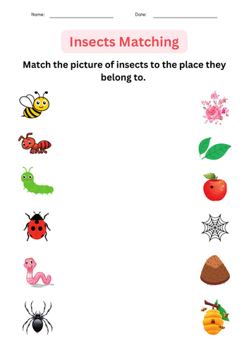 Printable Insects Worksheets for Kindergarten – Identify and Matching for Grade 1