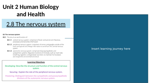 AAQ Health and Social Care Unit 2 Human biology and health 2.8 The nervous system