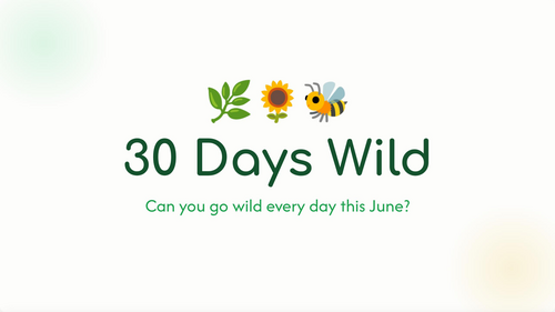 30 Days Wild: The Ultimate Primary School Nature Challenge Assembly