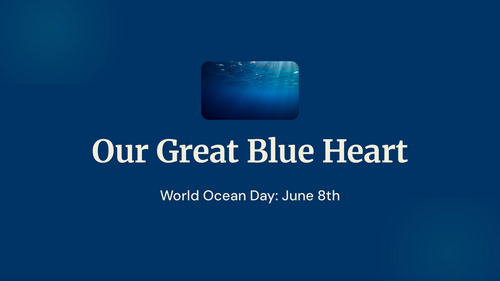 Our Great Blue Heart: World Ocean Day – Primary School Assembly